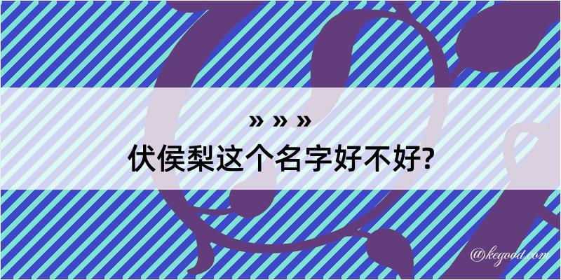 伏侯梨这个名字好不好?