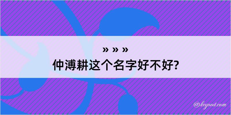 仲溥耕这个名字好不好?