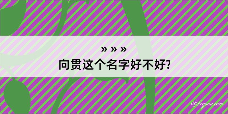 向贯这个名字好不好?