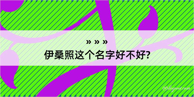 伊桑照这个名字好不好?