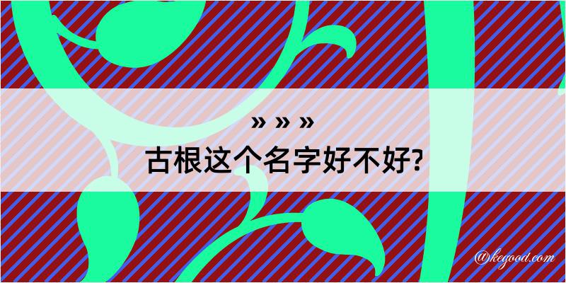 古根这个名字好不好?