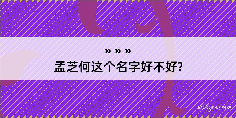 孟芝何这个名字好不好?