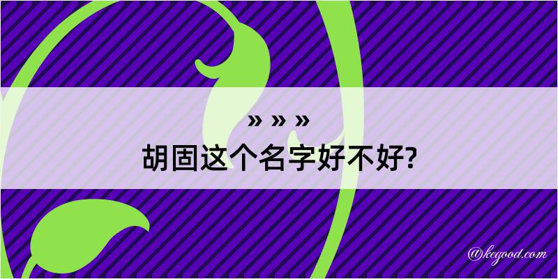 胡固这个名字好不好?