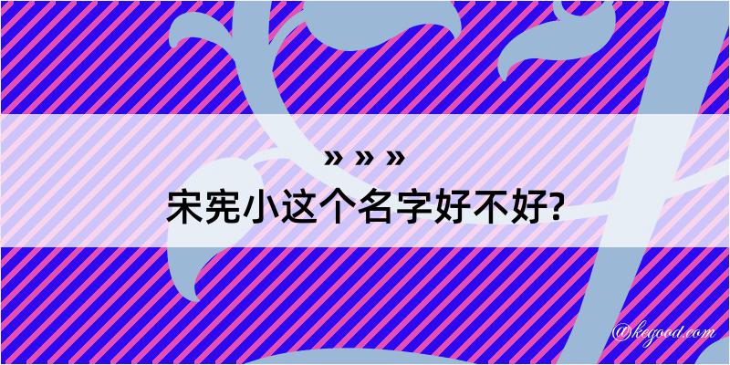 宋宪小这个名字好不好?