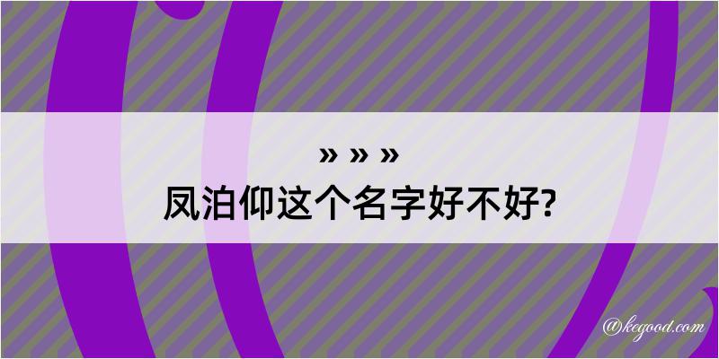 凤泊仰这个名字好不好?