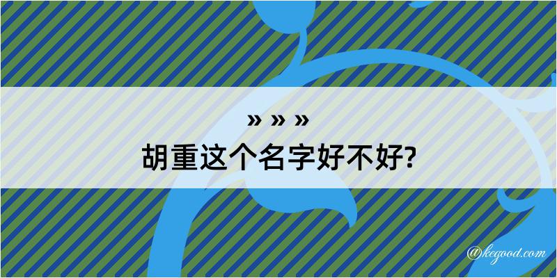 胡重这个名字好不好?