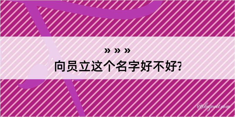 向员立这个名字好不好?