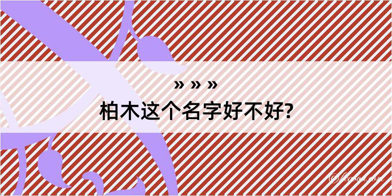 柏木这个名字好不好?