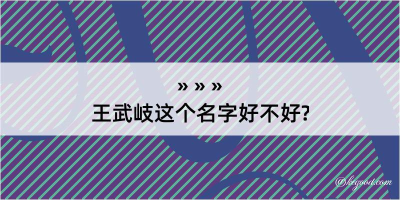 王武岐这个名字好不好?