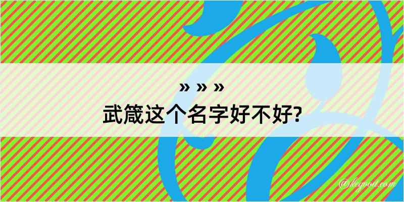 武箴这个名字好不好?