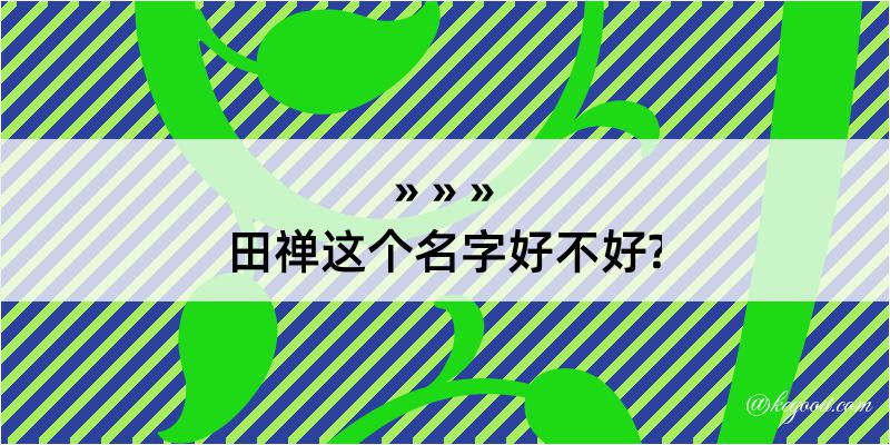 田禅这个名字好不好?