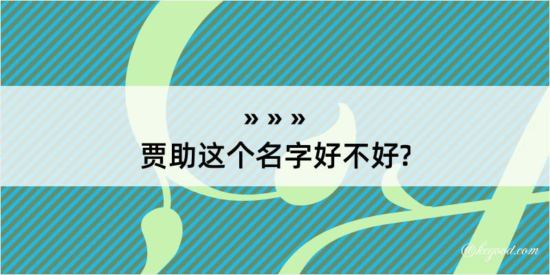 贾助这个名字好不好?