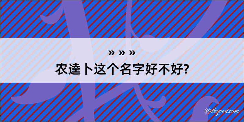 农逵卜这个名字好不好?