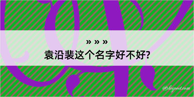 袁沿裴这个名字好不好?