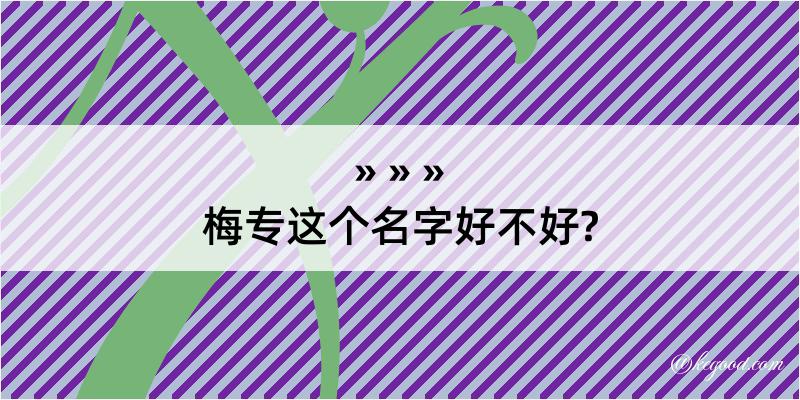 梅专这个名字好不好?