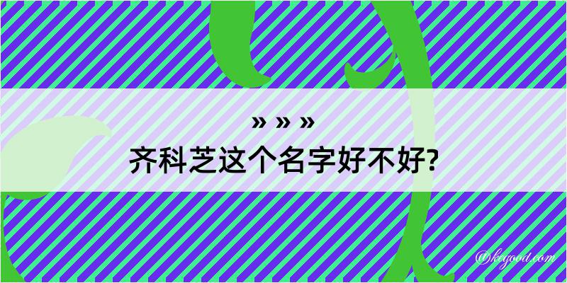 齐科芝这个名字好不好?