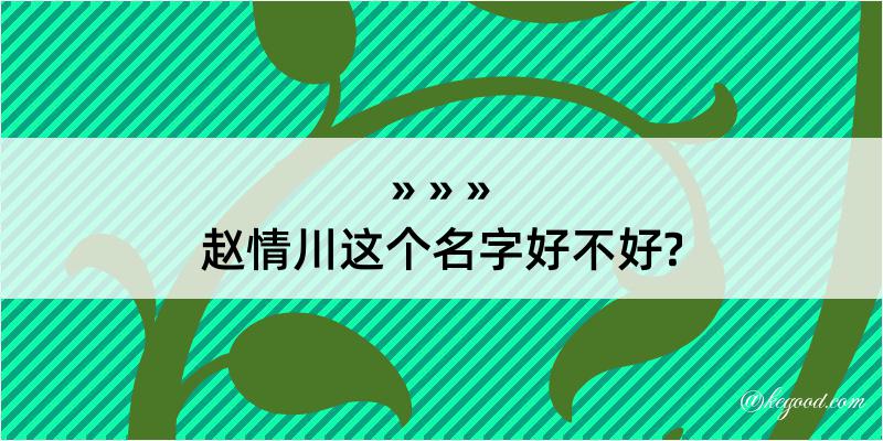 赵情川这个名字好不好?