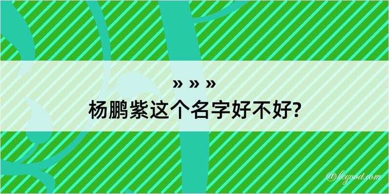 杨鹏紫这个名字好不好?