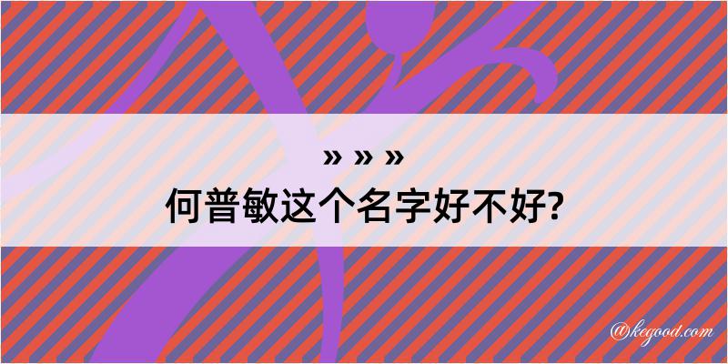 何普敏这个名字好不好?