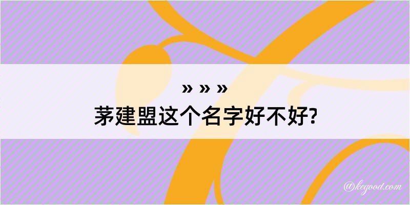 茅建盟这个名字好不好?