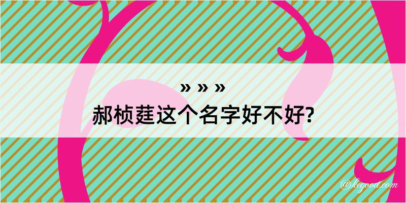 郝桢莛这个名字好不好?