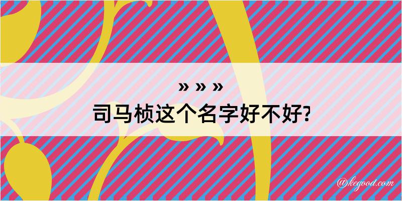 司马桢这个名字好不好?