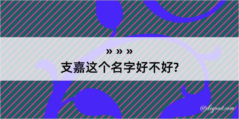 支嘉这个名字好不好?