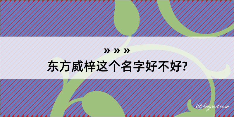 东方威梓这个名字好不好?