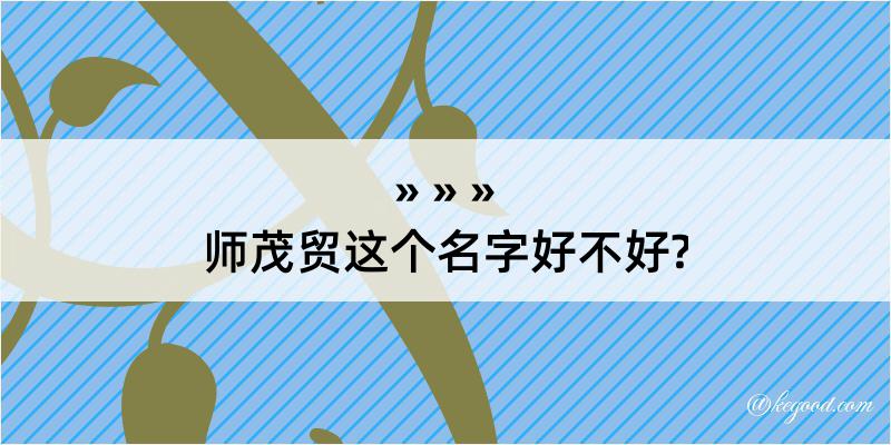 师茂贸这个名字好不好?