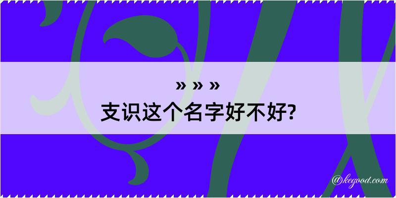 支识这个名字好不好?