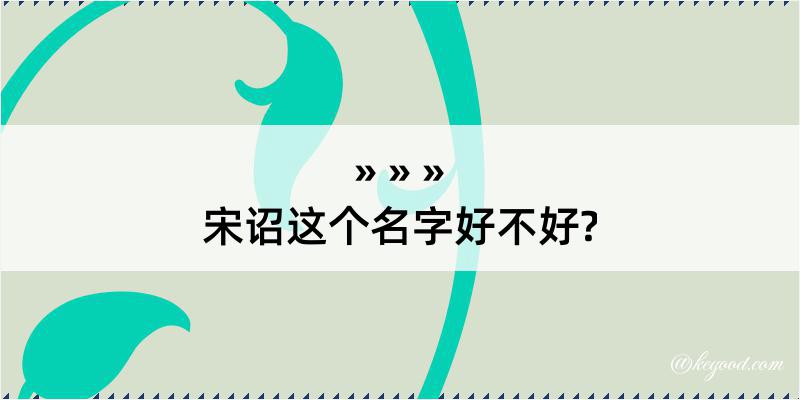 宋诏这个名字好不好?