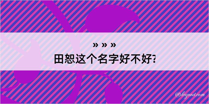 田恕这个名字好不好?