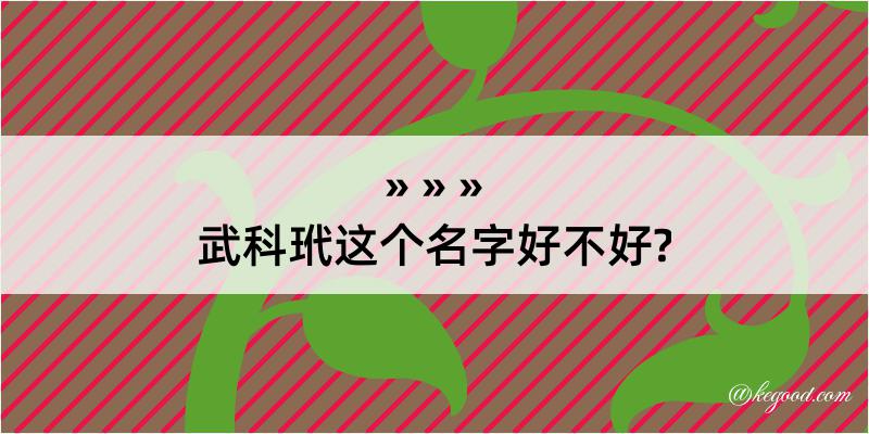 武科玳这个名字好不好?