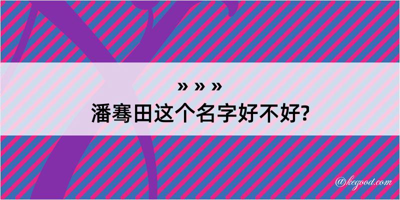 潘骞田这个名字好不好?