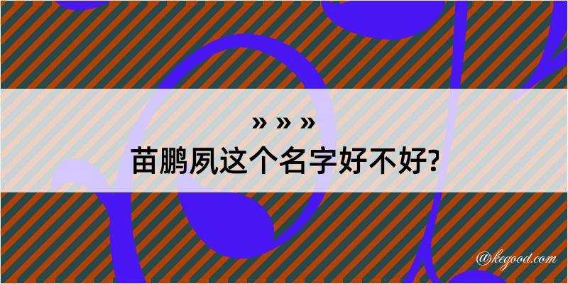 苗鹏夙这个名字好不好?