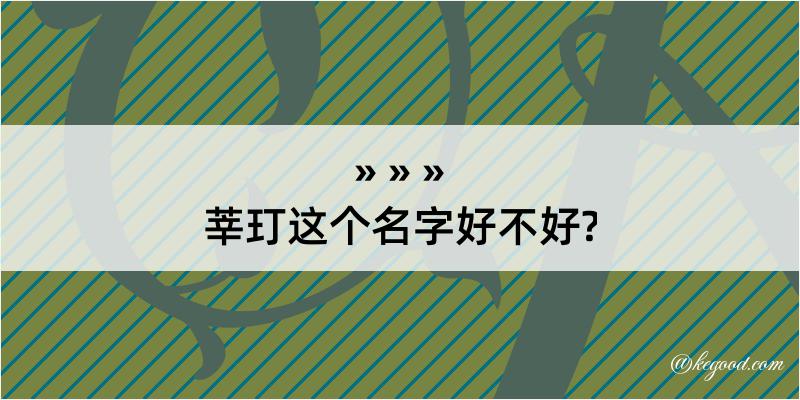 莘玎这个名字好不好?