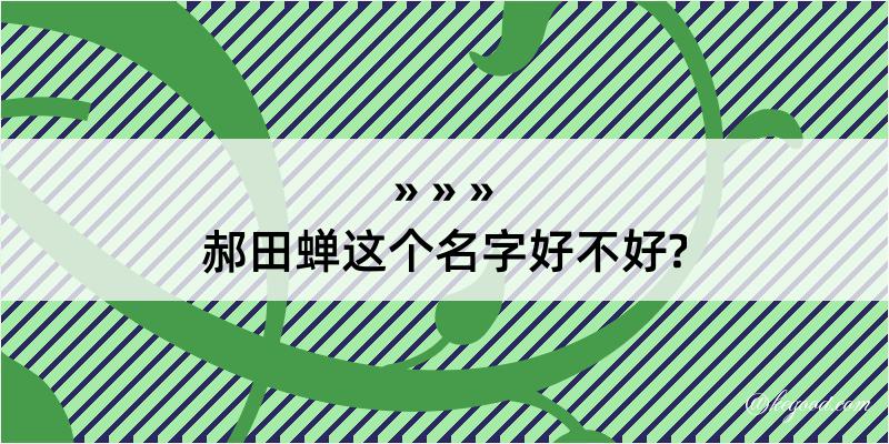 郝田蝉这个名字好不好?