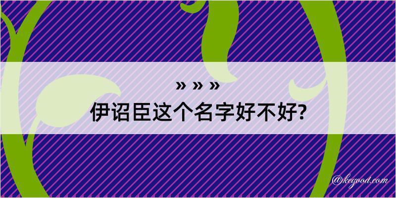 伊诏臣这个名字好不好?