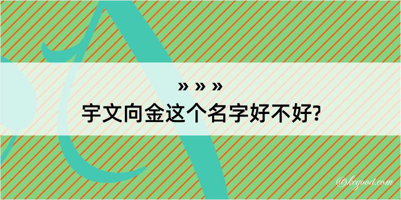 宇文向金这个名字好不好?