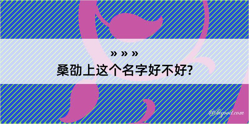 桑劭上这个名字好不好?