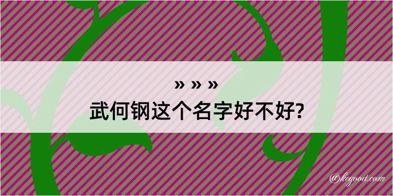 武何钢这个名字好不好?