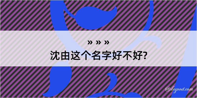 沈由这个名字好不好?