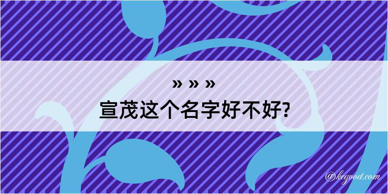 宣茂这个名字好不好?