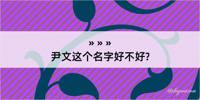 尹文这个名字好不好?