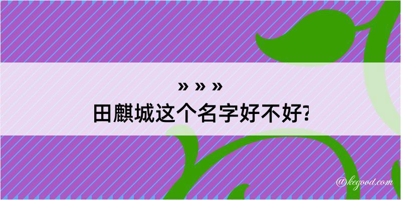 田麒城这个名字好不好?