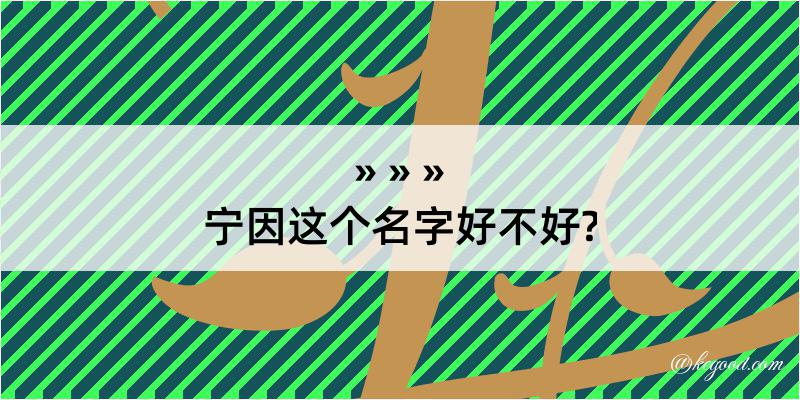 宁因这个名字好不好?