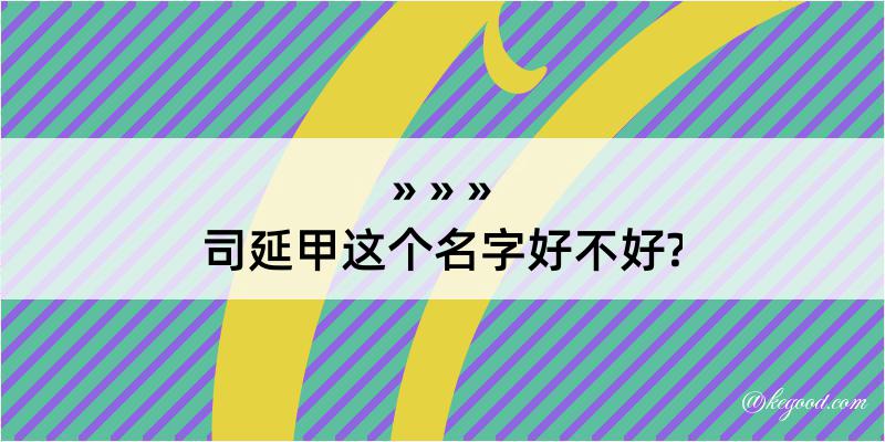 司延甲这个名字好不好?