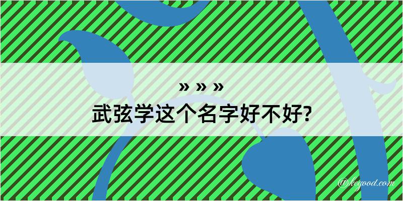 武弦学这个名字好不好?