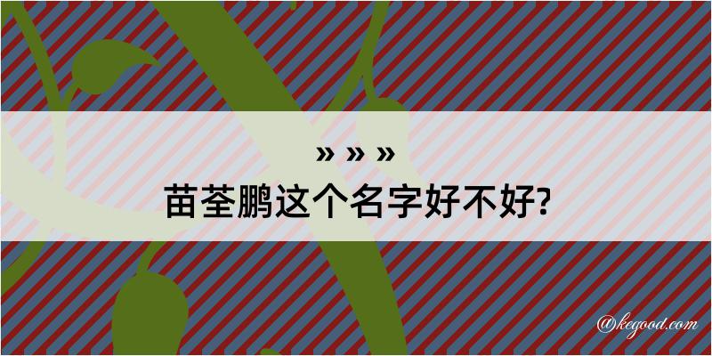 苗荃鹏这个名字好不好?