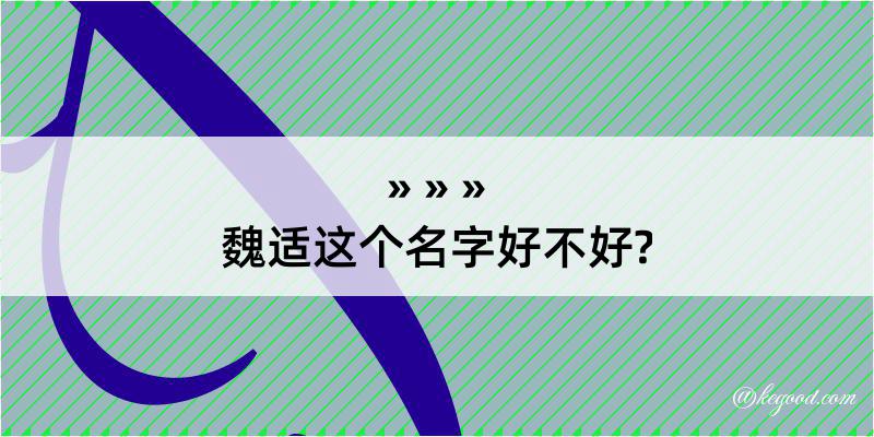 魏适这个名字好不好?